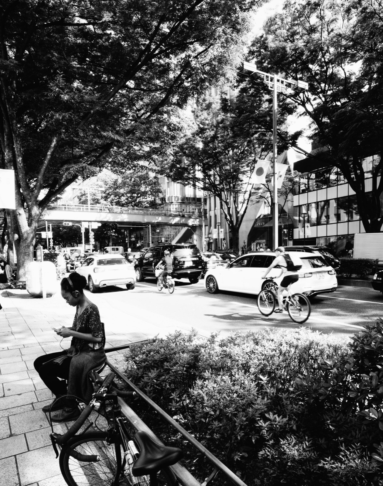 photograph by Makoto Sato