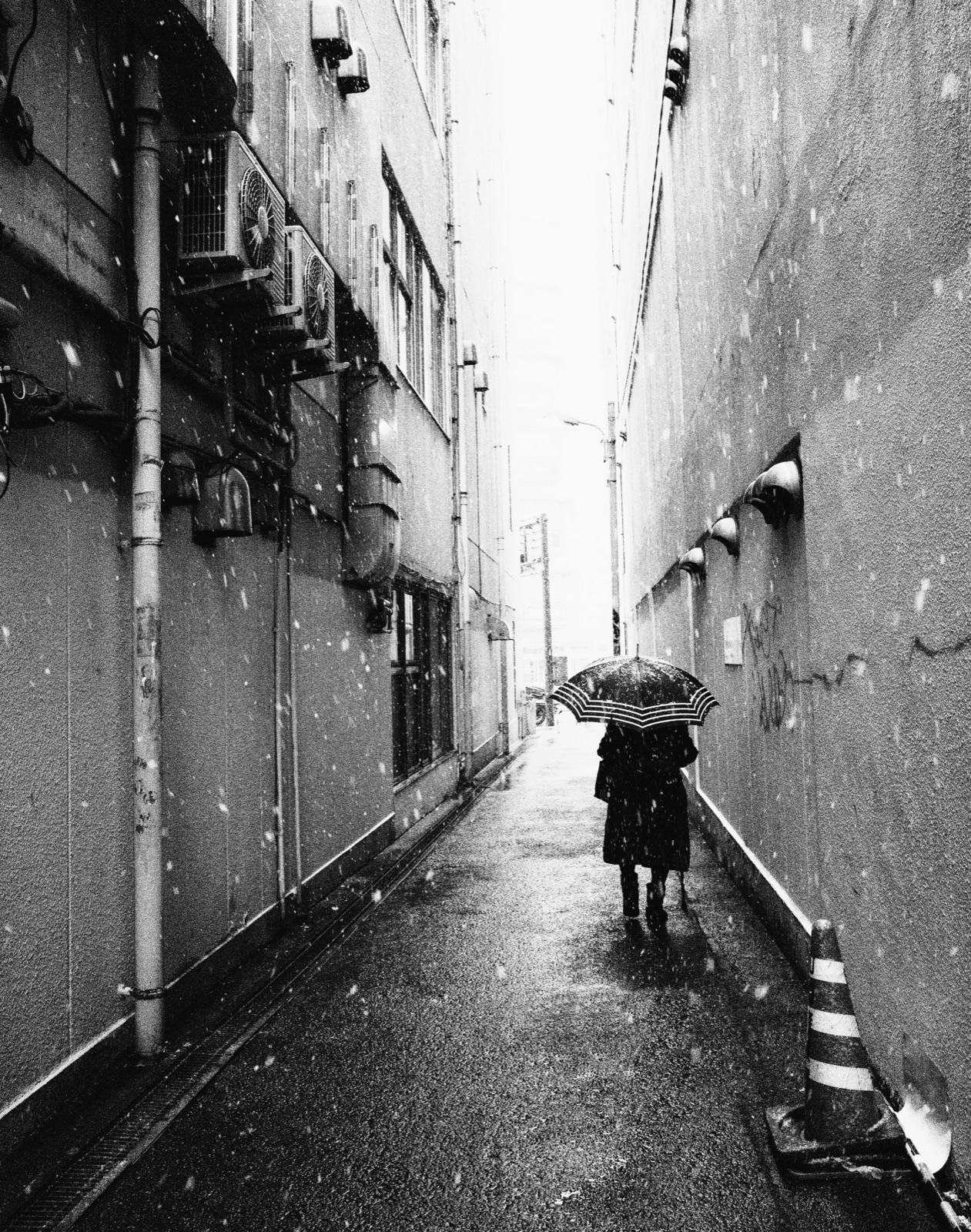 photograph by Makoto Sato